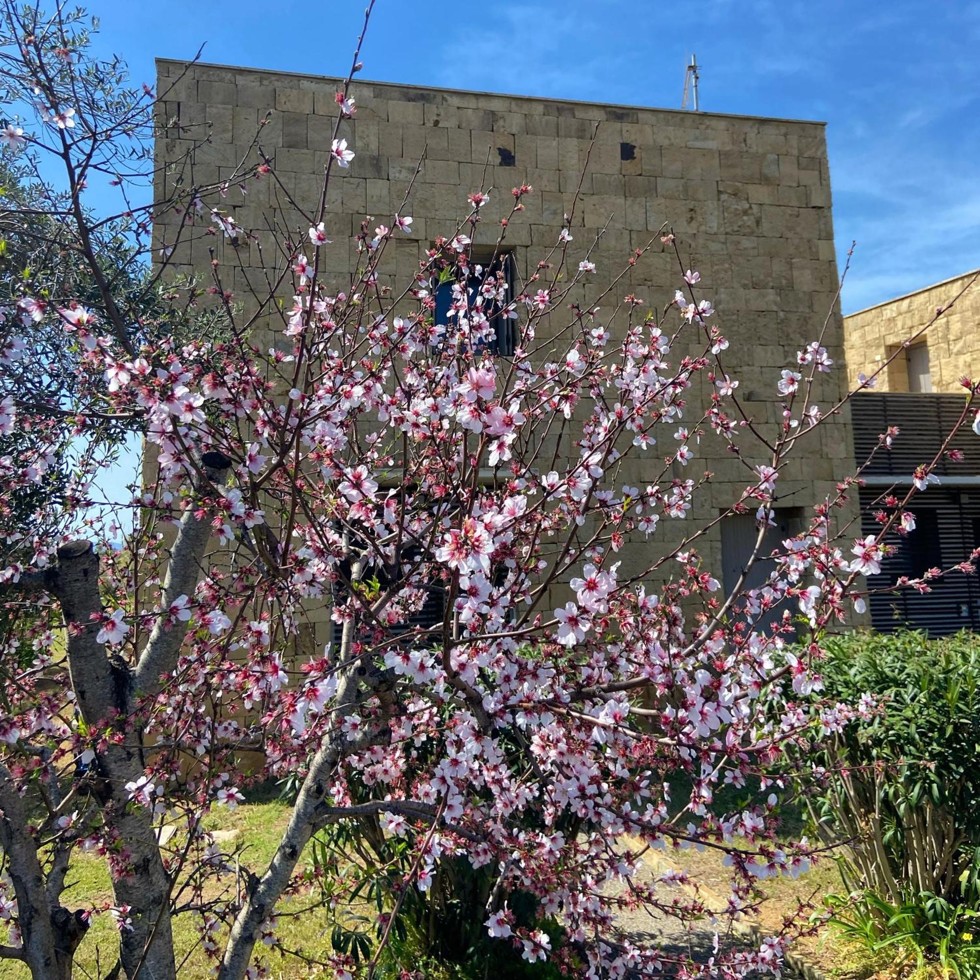 Casa Barbara Sardinia Villa Masainas Eksteriør bilde
